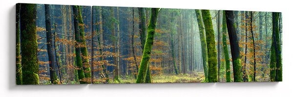 Obraz lesa (170x50 cm)