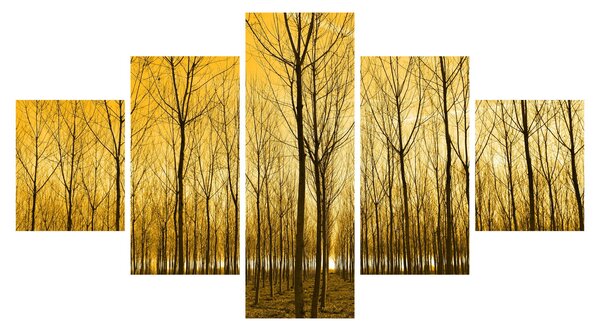 Obraz lesa při západu slunce (125x70 cm)