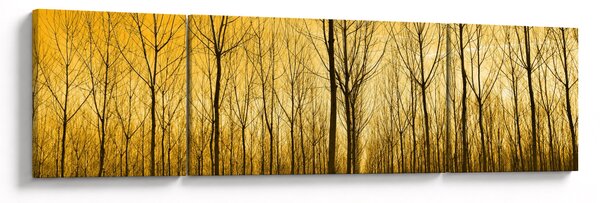 Obraz lesa při západu slunce (170x50 cm)