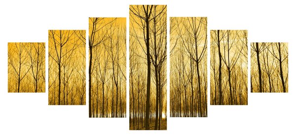 Obraz lesa při západu slunce (210x100 cm)
