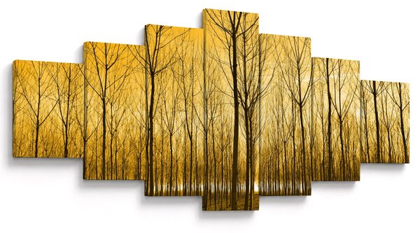 Obraz lesa při západu slunce (210x100 cm)