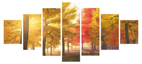 Obraz podzimních stromů (210x100 cm)