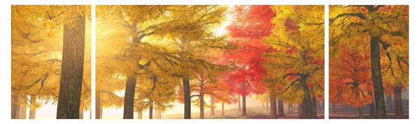 Obraz podzimních stromů (170x50 cm)