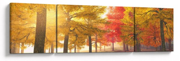 Obraz podzimních stromů (170x50 cm)