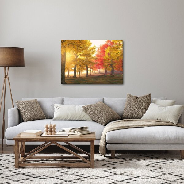 Obraz podzimních stromů (70x50 cm)