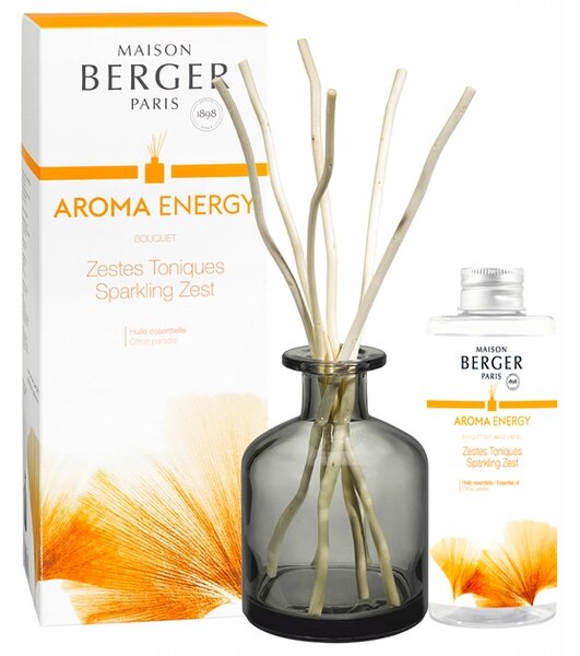 Berger vonné tyčinky difuzér s vonným olejem šampaňské 100ml vůně