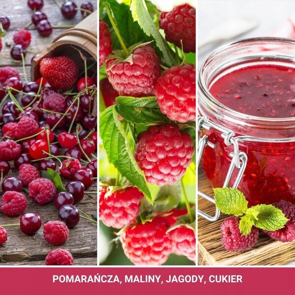 Dekorativní sójová svíčka Red Raspberry Yankee Candle 1 ks