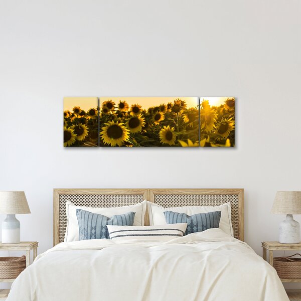 Obraz slunečnicového pole (170x50 cm)