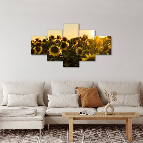 Obraz slunečnicového pole (125x70 cm)