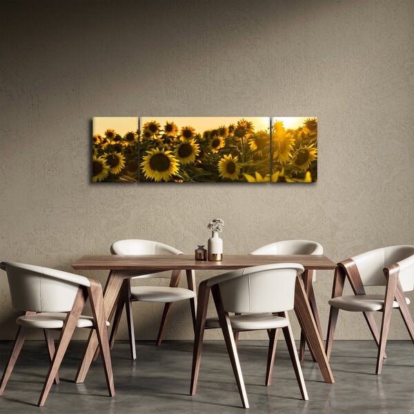 Obraz slunečnicového pole (170x50 cm)