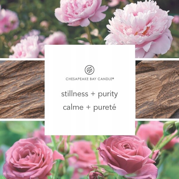 Sójová vonná svíčka Stillness & Purity Yankee Candle 1 ks