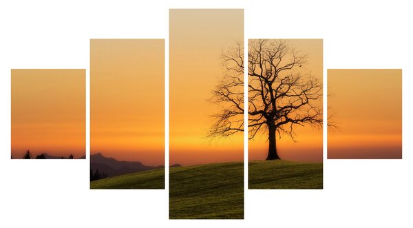 Obraz západu slunce na louce (125x70 cm)