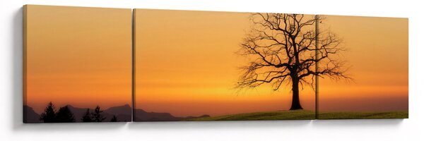 Obraz západu slunce na louce (170x50 cm)