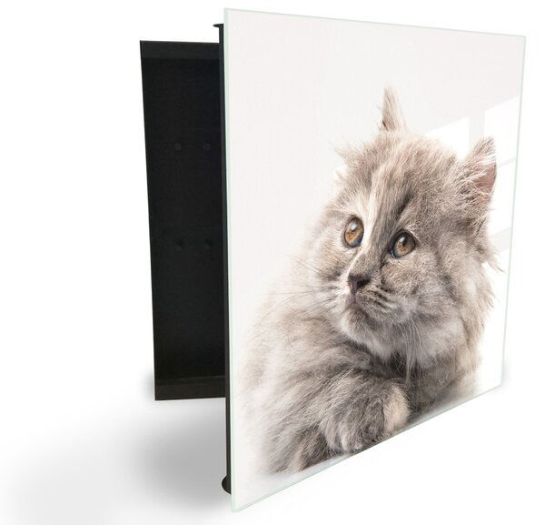 Glasdekor skříňka na klíče - hezká šedá kočka - Pravé / Černá