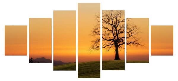 Obraz západu slunce na louce (210x100 cm)