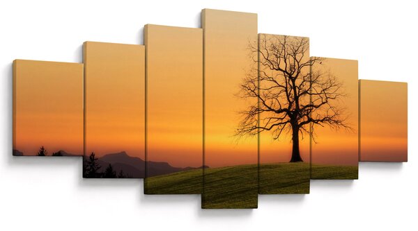 Obraz západu slunce na louce (210x100 cm)