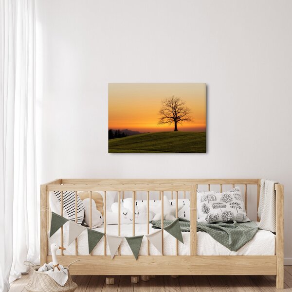 Obraz západu slunce na louce (70x50 cm)