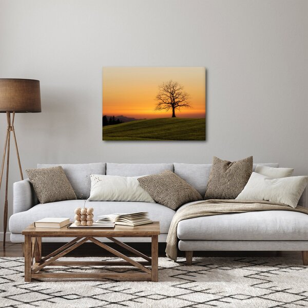 Obraz západu slunce na louce (70x50 cm)