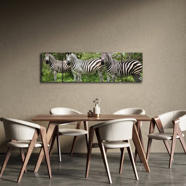 Obraz s zebrami (170x50 cm)
