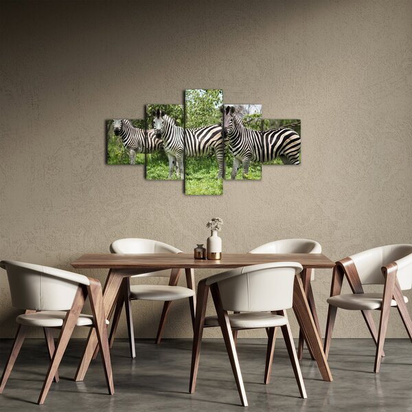 Obraz s zebrami (125x70 cm)