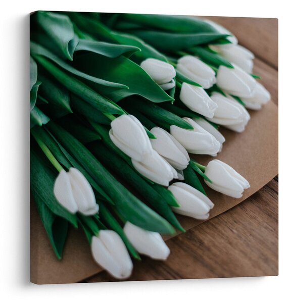 Obraz kytice bílých tulipánů (30x30 cm)