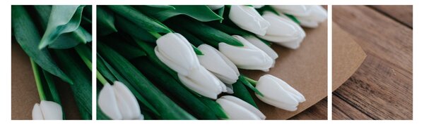 Obraz kytice bílých tulipánů (170x50 cm)