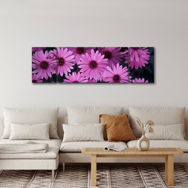 Obraz růžových květů (170x50 cm)