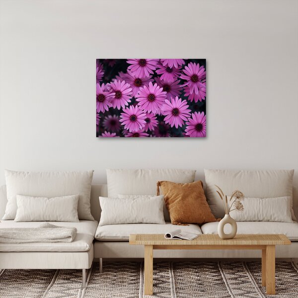 Obraz růžových květů (70x50 cm)
