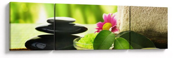 Obraz masážních pomůcek (170x50 cm)