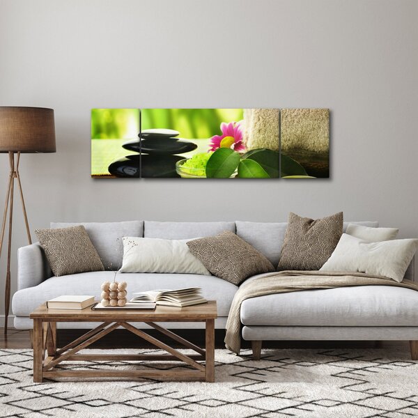 Obraz masážních pomůcek (170x50 cm)