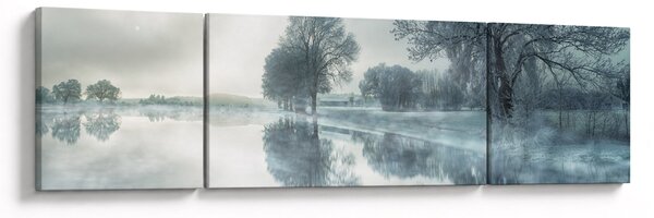 Obraz zimní přírody (170x50 cm)