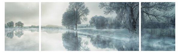 Obraz zimní přírody (170x50 cm)