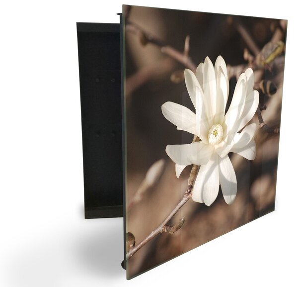 Glasdekor skříňka na klíče - květ bílé magnolie na hnědém pozadí - Pravé / Bílá