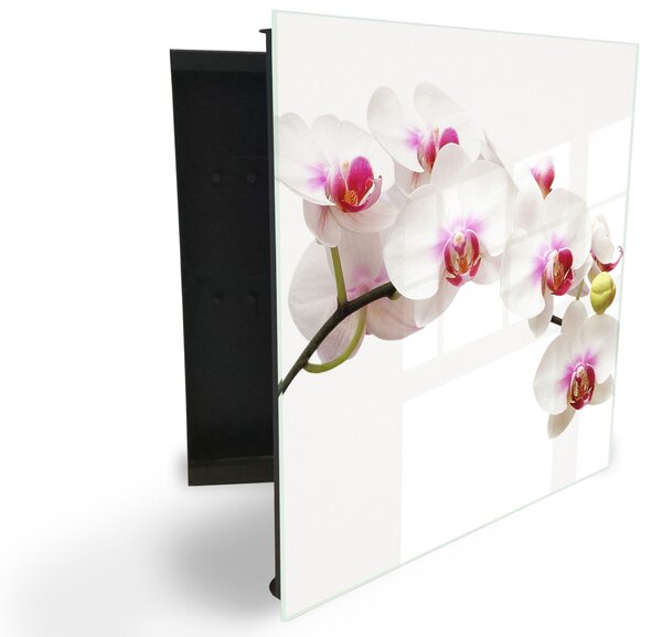 Glasdekor skříňka na klíče - květ orchideje na bílém podkladu - Pravé / Černá