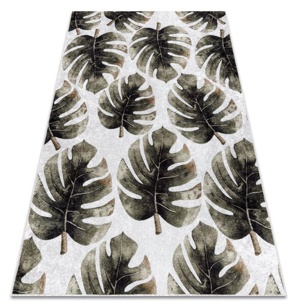 Koberec MIRO 52102.801 listy Monstera, zelený