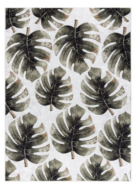 Koberec MIRO 52102.801 listy Monstera, zelený