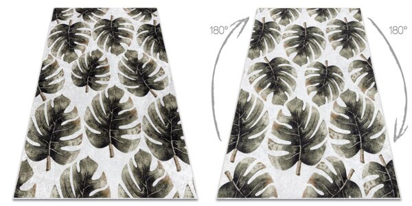 Koberec MIRO 52102.801 listy Monstera, zelený
