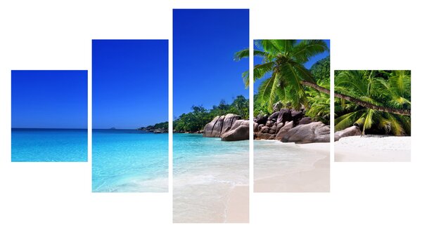 Obraz pláže na Praslin ostrově (125x70 cm)