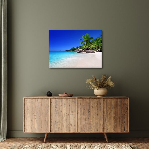Obraz pláže na Praslin ostrově (70x50 cm)