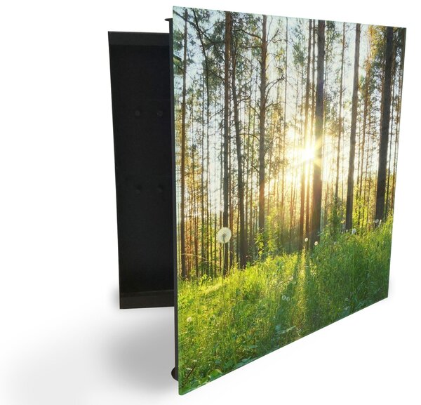 Glasdekor skříňka na klíče - jarní mýtina a les se sluncem - Levé / Bílá