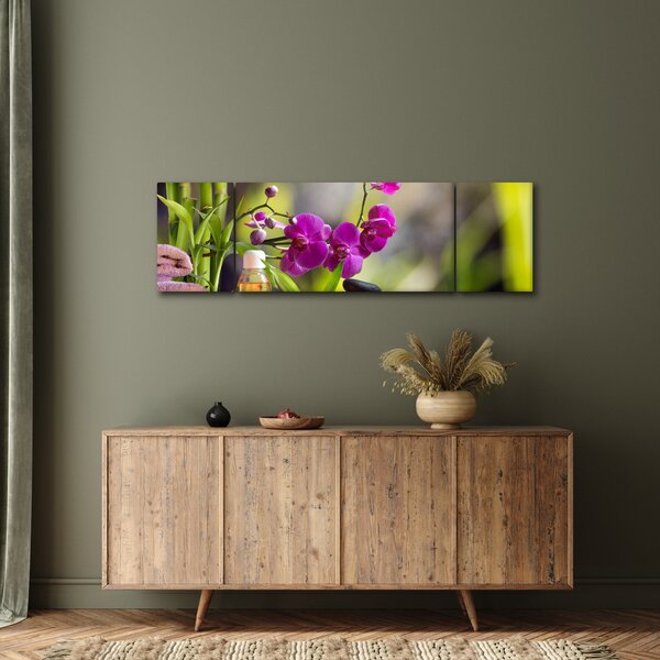 Obraz - spa and stones (170x50 cm)