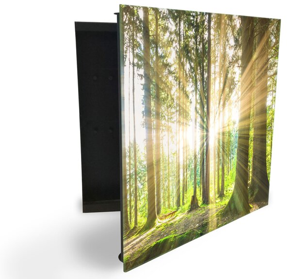 Glasdekor skříňka na klíče -sluneční paprsky mezi stromy v lese - Pravé / Bílá