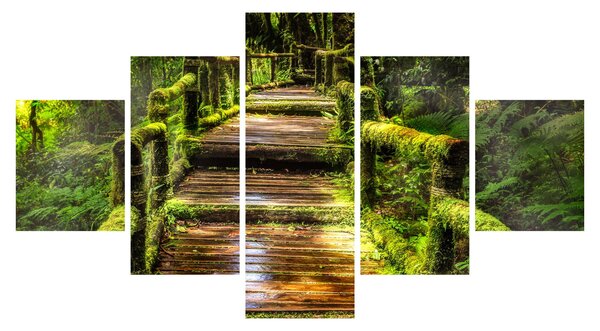 Obraz schodů v deštném pralese (125x70 cm)