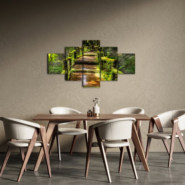 Obraz schodů v deštném pralese (125x70 cm)