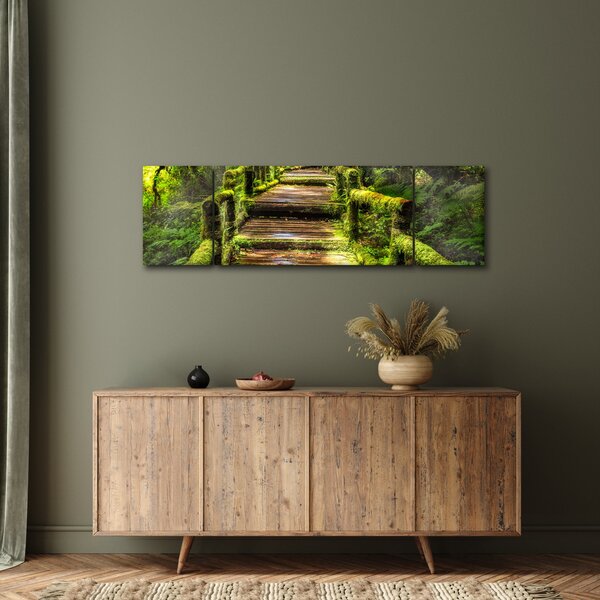 Obraz schodů v deštném pralese (170x50 cm)