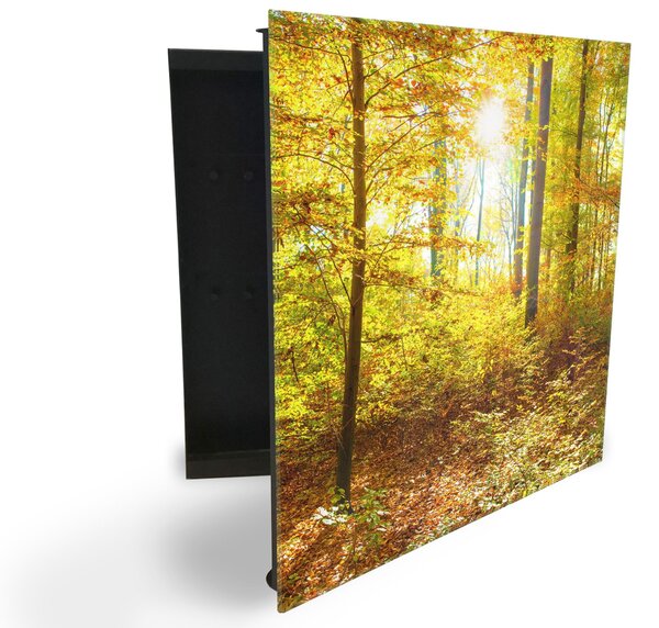 Glasdekor skříňka na klíče - podzimní les a slunce - Levé / Bílá