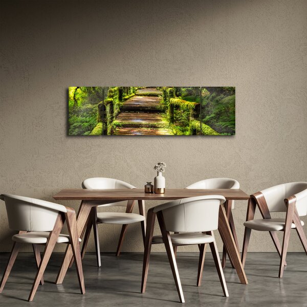 Obraz schodů v deštném pralese (170x50 cm)