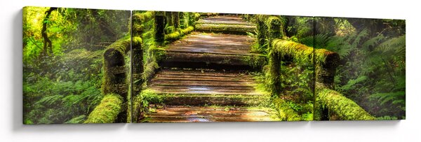 Obraz schodů v deštném pralese (170x50 cm)