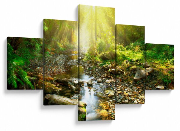 Obraz řeky v zeleném lese (125x70 cm)