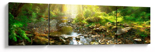 Obraz řeky v zeleném lese (170x50 cm)